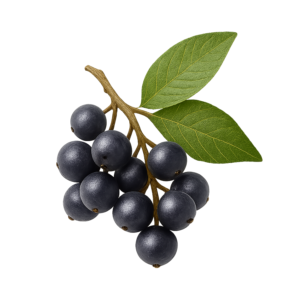 Fruit powders