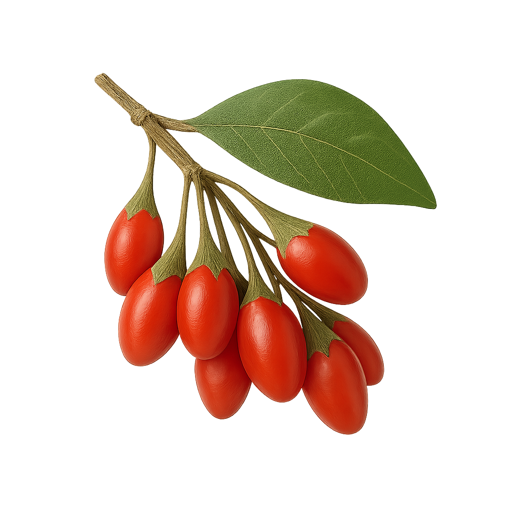 Berries
