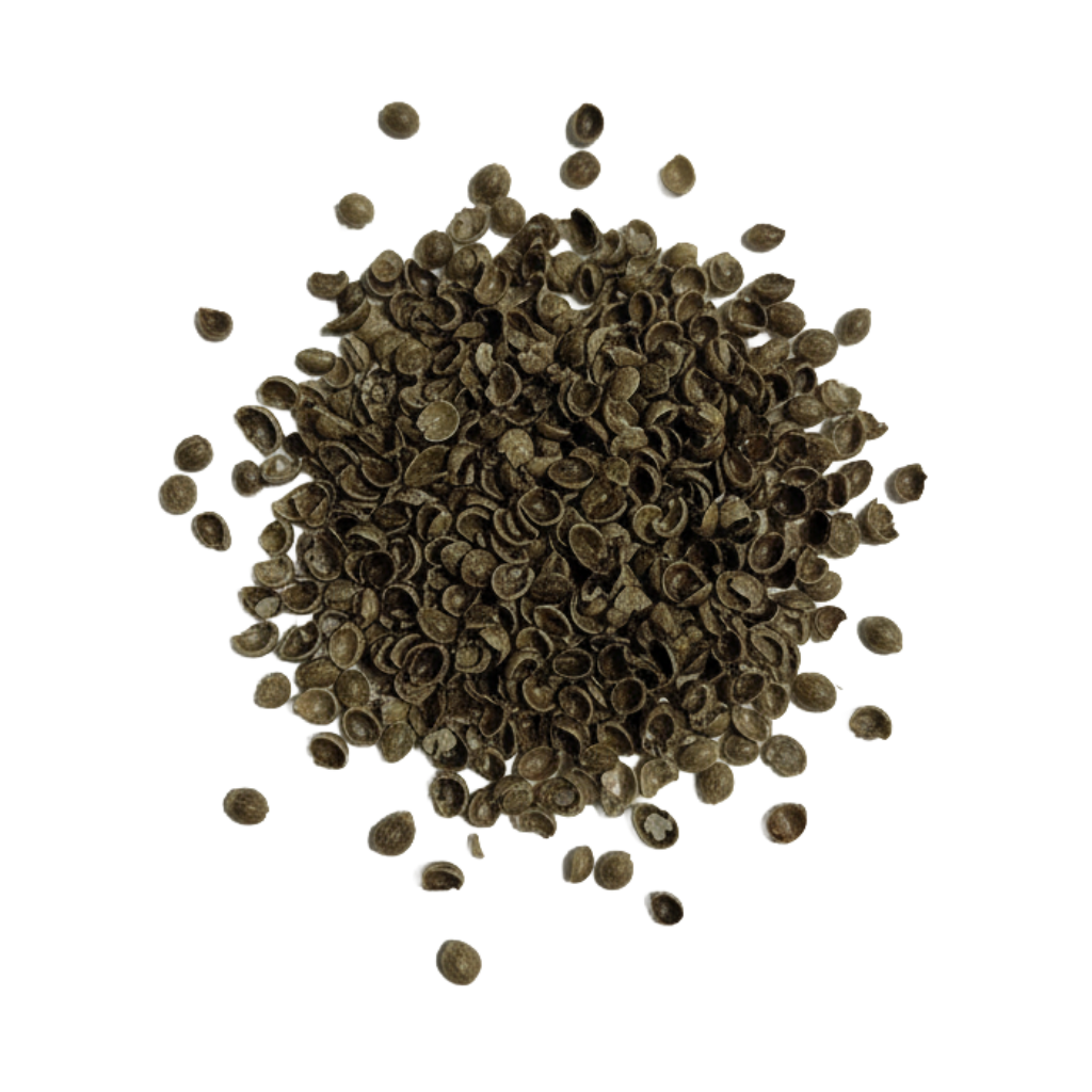 Close-up of pile of brown hemp seed shells on a clear background.